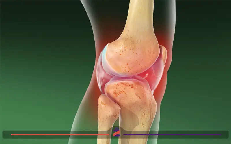 آنتومی زانو برای جراحی افزایش قد