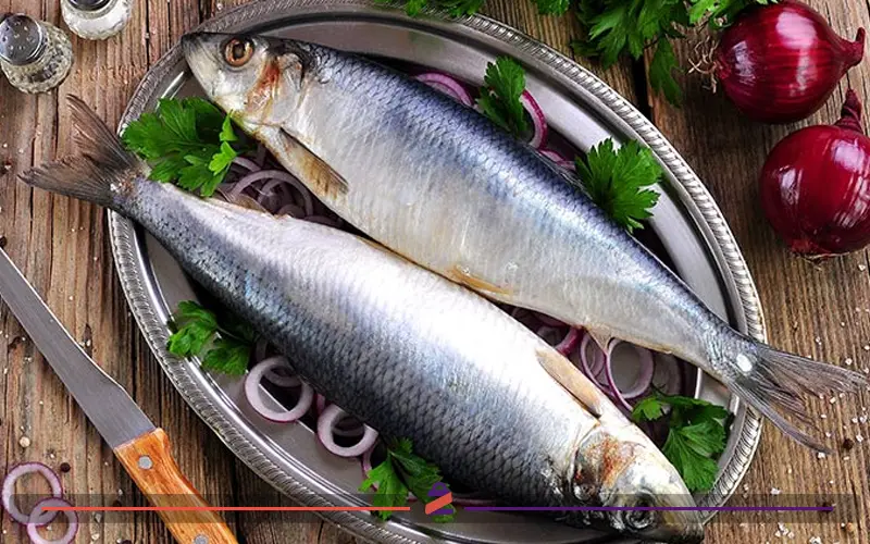 ویتامین D برای درمان زانو درد بسیار مفید است